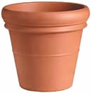 Clay
